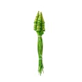 MINI CANE CONE - GREEN.jpg