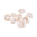 SHOLA LOTUS FLOWER - 8cm.jpg