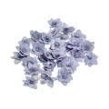 SHOLA RUKMANI GREY - 4 cm.jpg
