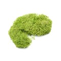 CURLY MOSS - ZIELONY.jpg