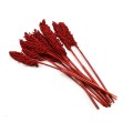 INDIAN WHITE CORN - CZEROWNY : RED.jpg