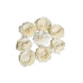 SHOLA LOTUS 8cm.jpg