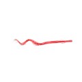 CURLY WILLOW 60cm - RED.jpg