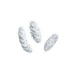 STROBUS WHITE WASHED 10cm - 15cm