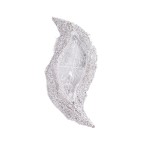 TX201776 - OSŁONKA, POJEMNIK, PODSTAWA DO KOMPOZYCJI FASZYNA