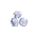 PALM CUP FLOCK WHITE