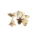 718001 - WYCINANKA - CHOINKA KORA, DREWNO - 6 cm