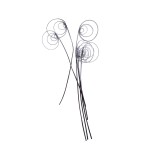 CANE COIL FLOCK BLACK