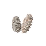 RYE CONE WHITE WASHED