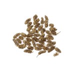 BIRCH PINE / SZYSZKA - GOLD