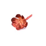 HA3AM0021BBN - SUKULENT NA PIK, ESZEWERIA