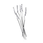 CANE SPRING FLOCK BLACK