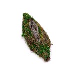 TX415 - OSŁONKA, POJEMNIK, PODSTAWA DO KOMPOZYCJI MECH