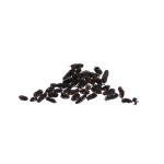 BIRCH PINE / SZYSZKA