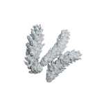 STROBUS GREY-WHITE WASHED 10cm - 15cm