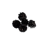 PINE CONE BLACK