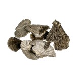 SPONG MUSHROOM CHAMPAGNE