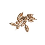 THUJA POD SMALL SNOW TIP