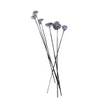 CEDER ROSE FLOCK BLACK