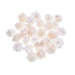 SHOLA BELLY  - 2 cm