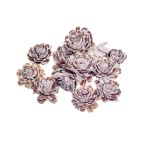 SHOLA BELLY MIX SKIN - 6 cm