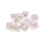 SHOLA KADAMBARI - 6 cm