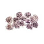 SHOLA ZINNIA MIX - 8 cm