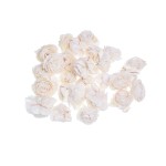 SHOLA ROSE BEAUTY  - 4 cm