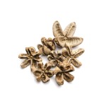 WILD ORANGE WHITE WASHED