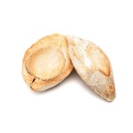 COCO CUT HALF HORIZONTAL BLD