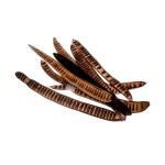 MACHETE STEP FRUIT LAKIEROWANY