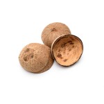 COCO NUT CAPS