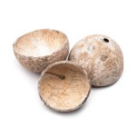 COCO NUT CAPS WHITE WASHED