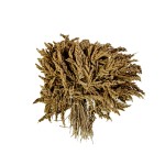 SHYAMA GRASS WHITE WASHED