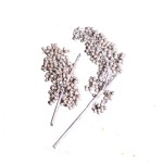 CANELLA SUPER SPECIAL - WHITE WASHED