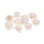 SHOLA ZINNIA - 8 cm