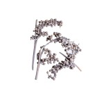 CANELLA SPECIAL - FROST WHITE