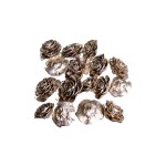 CEDER ROSE GOLD/PLATINUM