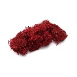 CURLY MOSS COLOR BLD