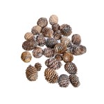 DECORUM WHITE WASHED