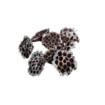 LOTOS HEADS WHITE WASHED - 6 cm 