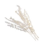 RUSKUS BABY - 60 cm P/W 