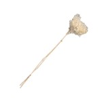 HYDROGENA - 50 cm P/W