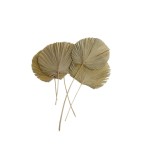 CHAIN PALM ROUND - 18cm NATURE