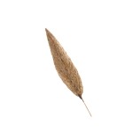 NUL LEAF STICK - 10 cm