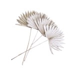 PALM SUN SPEAR PEARL WHITE