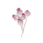 CYNARA FLOWER WHITE WASHED