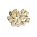 SHOLA SHELL FLOWER - 4 cm