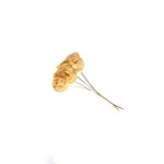 SHOLA PEONY - YELLOW