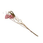 SHOLA CHRYSANTENUM STICK - 2 szt